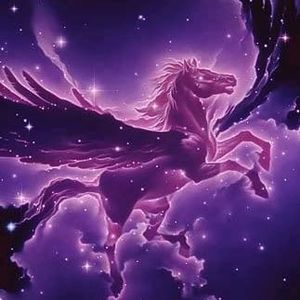 Meet your Posher, Ji